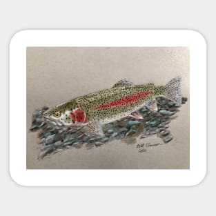 Rainbow Trout Sticker